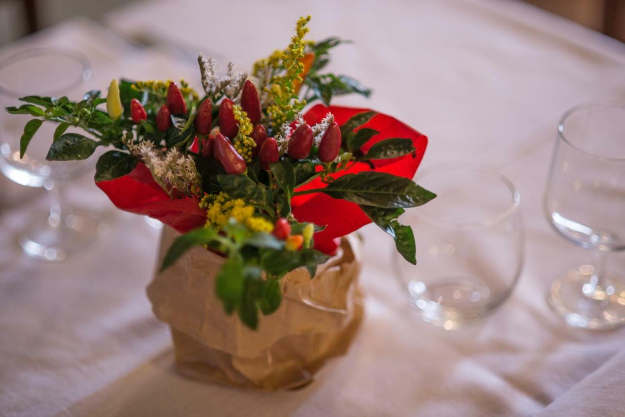 Il Dosso Agriturismo โคดิโกโร ภายนอก รูปภาพ